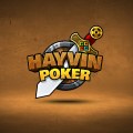 hayvin-poker-brand